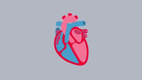 5.gif